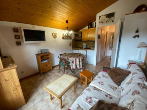Charmant appart 2 pièces avec balcon et garage à La Clusaz - FR-1-459-121